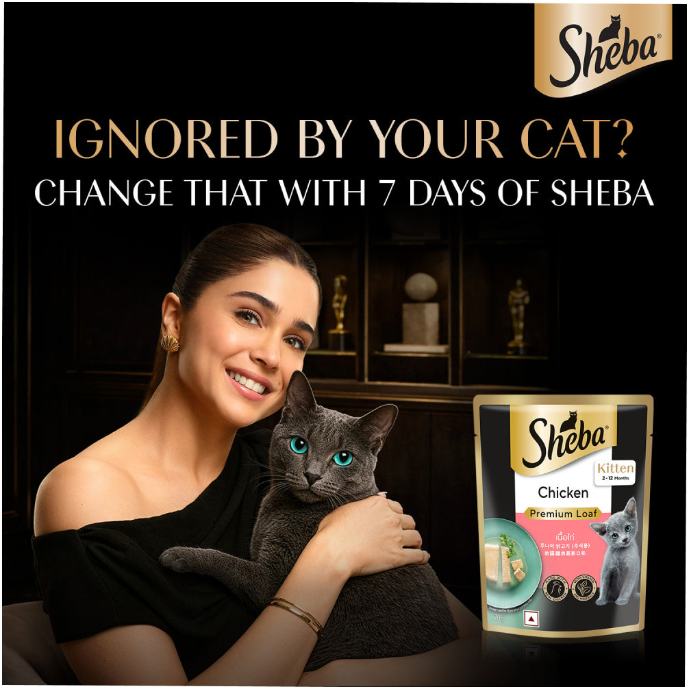 Sheba Chicken Loaf Rich Premium Kitten (2 to 12 Months) Fine Cat Wet Food
