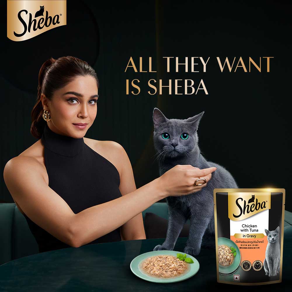 Sheba Chicken With Tuna In Gravy Rich Premium Adult Fine Cat Wet Food Cats-Wet Food Sheba