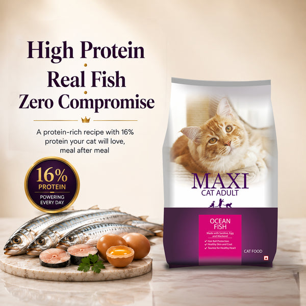 Maxi Adult Ocean Fish Adult Dry Cat Food