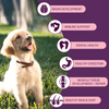 Bowlers Nutrimax Club Puppy Dog Dry Food Dogs- Dry Food Bowlers