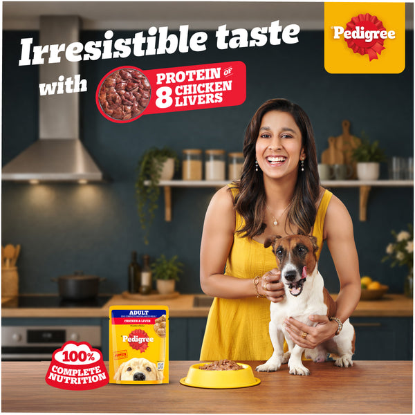 Pedigree Chicken Biryani Flavour Adult Dog Dry Food