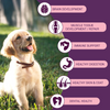 Bowlers Chicken and Milk Nutrimax Puppy Dog Dry Food Dogs- Dry Food Bowlers
