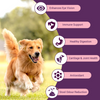 Bowlers Nutrimax Club Adult Dog Dry Food Dogs- Dry Food Bowlers
