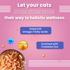 Bark Out Loud by Vivaldis Pillows for Sensitive Gut Cat Treats