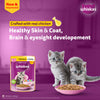 Whiskas Chicken in Gravy Meal Kitten Wet Food Cats-Wet Food Whiskas