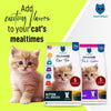 Hachi Wilson Premium Ocean Fish Kitten Dry Food Cats- Dry food Hachi Wilson