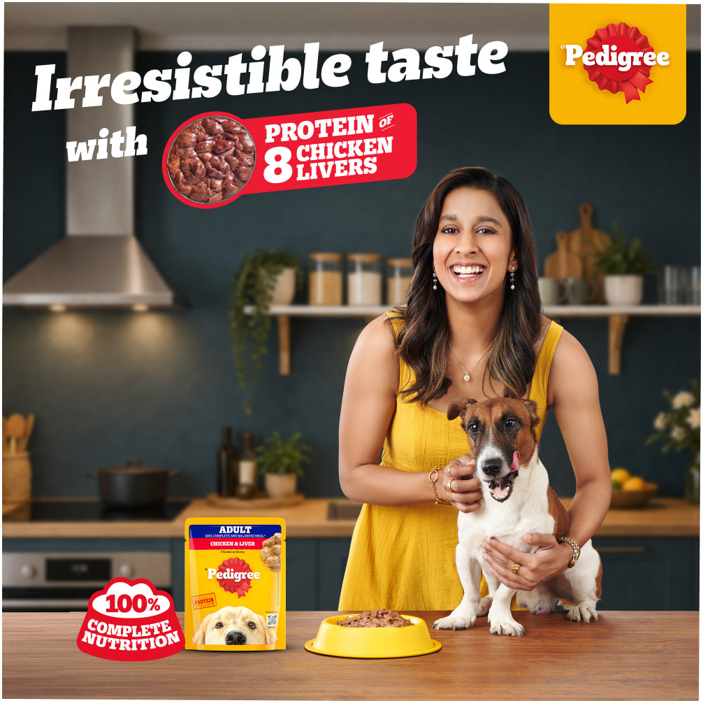 Pedigree Chicken and Liver Chunks in Gravy Adult Dog Wet Food (70g) Dogs-Wet Food Pedigree