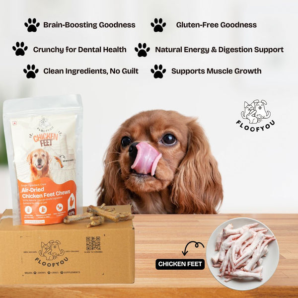 FloofYou Air Dried Chicken Feet Grain Free Chew Dog Treats