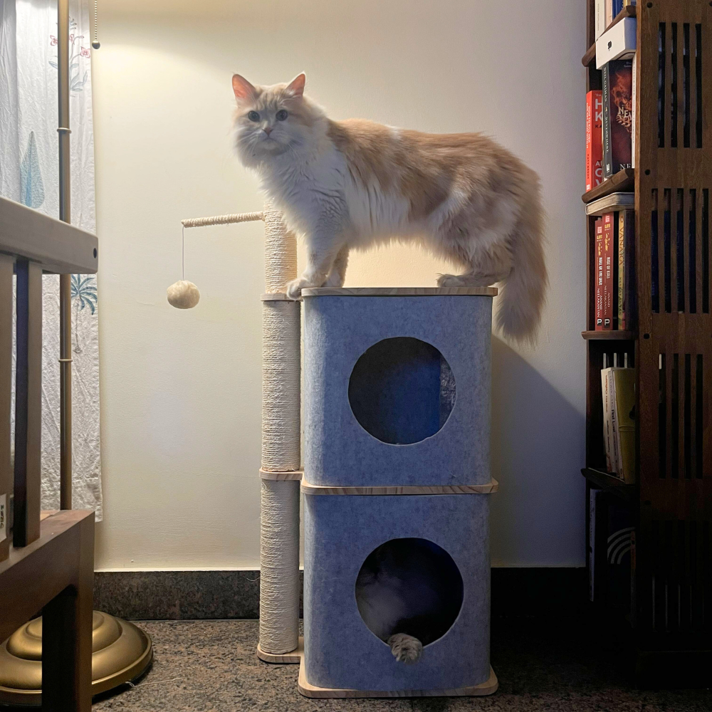 FurryLiving Nara Dual-Level Felt Condo with Scratch Pole & Hanging Toy Cat Tree Cats-Toys FurryLiving Dropship