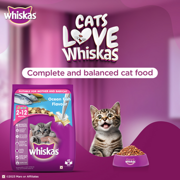 Whiskas Ocean Fish and Tuna in Jelly Kitten Dry and Wet Food Combo