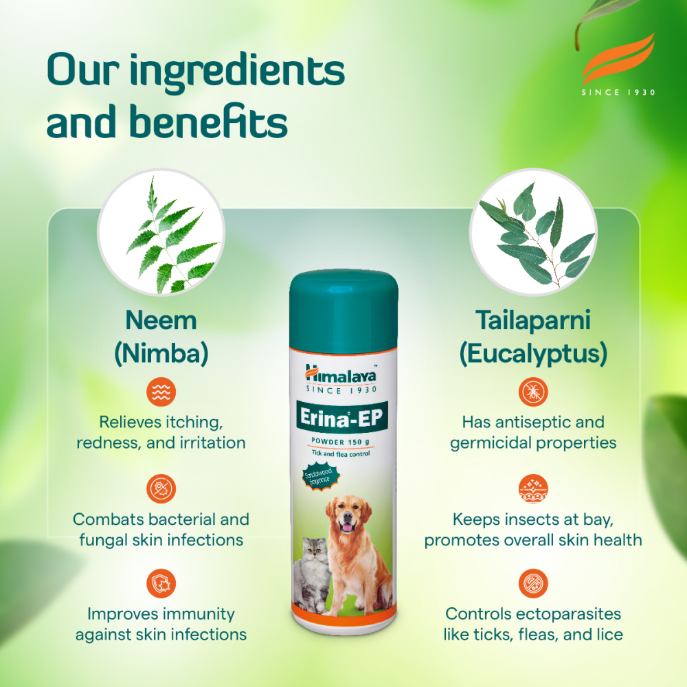 Himalaya Erina EP Flea and Tick Powder for Dogs and Cats