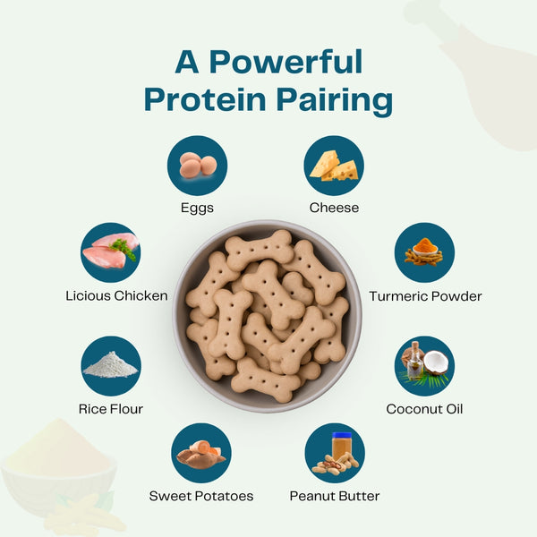 Pawfectly Made By Licious Chicken & Peanut Butter Biscuits Dog Treats