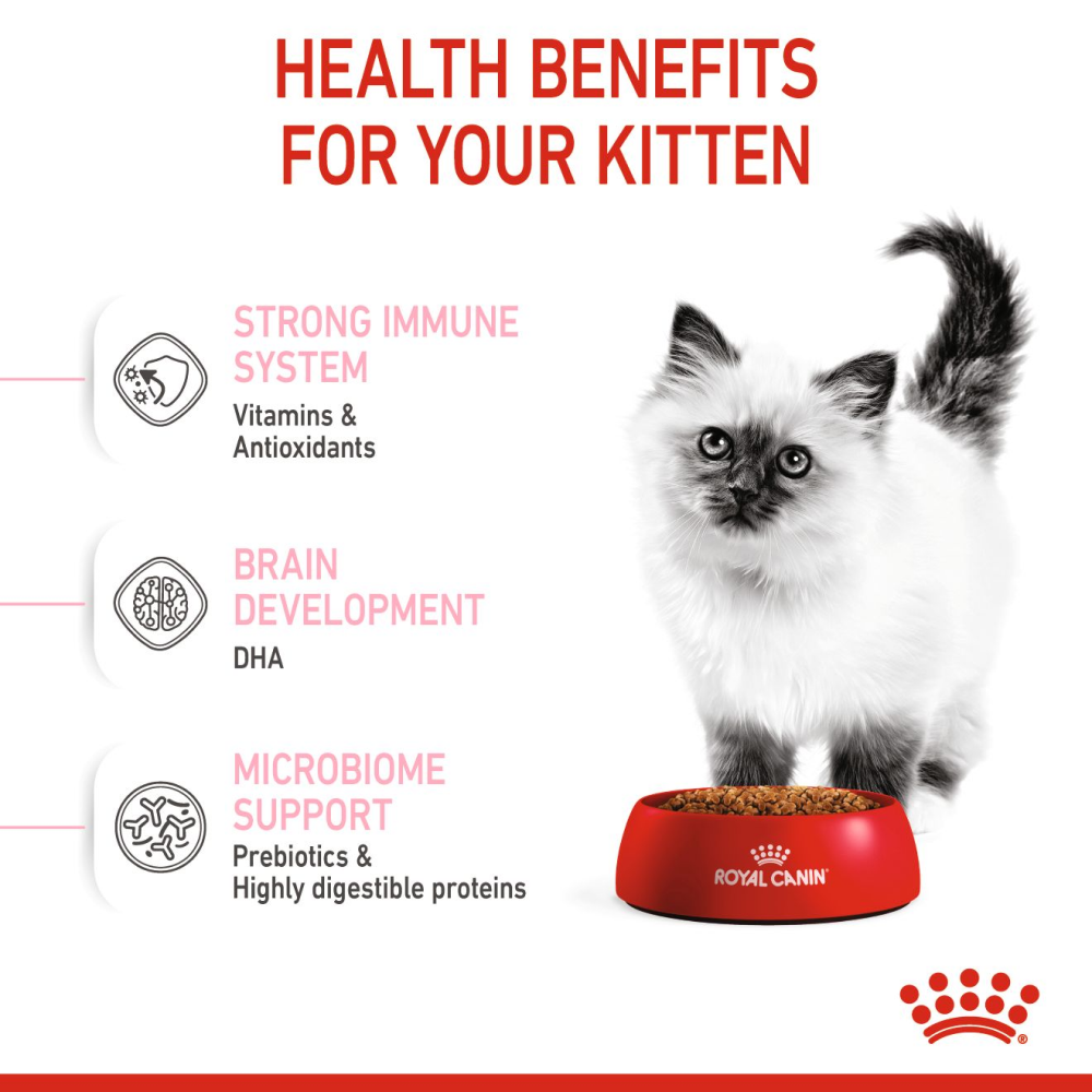 Royal Canin Kitten Cat Dry and Wet Food Combo