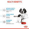 Royal Canin Giant Breed Dog and Puppies Starter Dog Dry Food Dogs- Dry Food Royal Canin