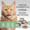 Schesir Tuna In Jelly with Shrimp Adult Cat Wet Food Cats-Wet Food Schesir