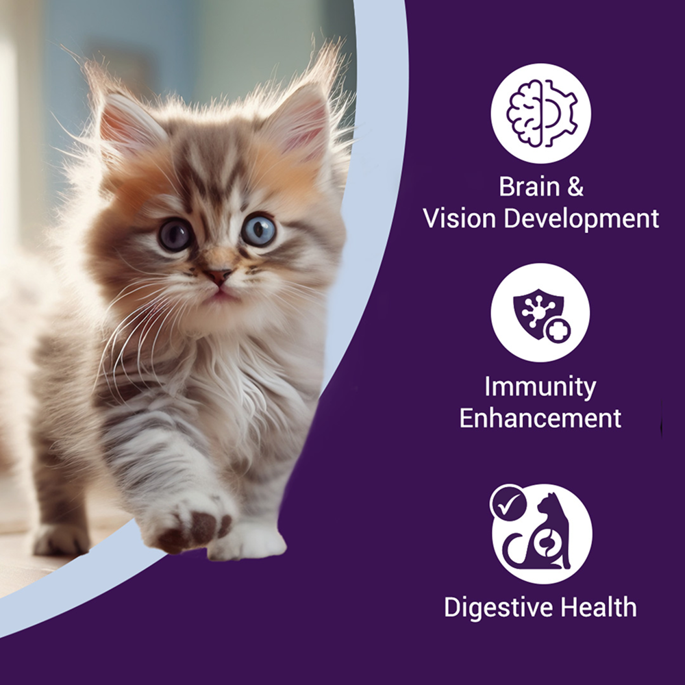 Purrfeto Chicken and Rice Kitten Cat Dry Food Cats- Dry food Purrfeto