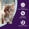 Purrfeto Chicken and Rice Kitten Cat Dry Food Cats- Dry food Purrfeto