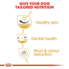 Royal Canin Shih Tzu Adult Dog Dry Food Dogs- Dry Food Royal Canin