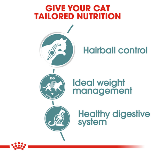 Royal Canin Hairball Care Wet Cat Food (85g Pouch)