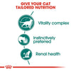 Royal Canin Instinctive 7+ Gravy Cat Wet Food Cats-Wet Food Royal Canin