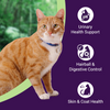 Purrfeto Chicken and Sardine Adult Cat Dry Food Cats- Dry food Purrfeto