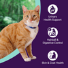 Purrfeto Chicken and Ocean Fish Cat Dry Food Cats- Dry food Purrfeto