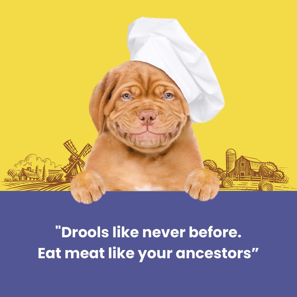 Dogfest Duck Meat Sticks Dog Treats Dog Treats + Others Petfest