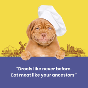 Dogfest Duck Meat Sticks Dog Treats
