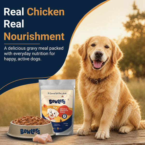 Bowlers Chicken Recipe in Gravy Dog Wet Food