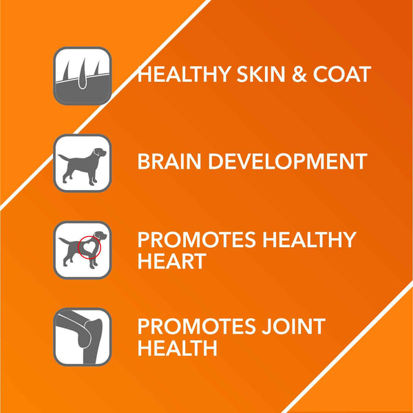 Furlicks Gut Health Supplement and Drools Absolute Salmon Oil Syrup Supplement Combo for Dogs