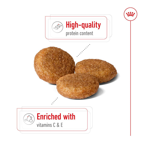 Royal Canin Medium Adult Dog Dry Food