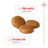 Royal Canin Medium Adult Dog Dry Food Dogs- Dry Food Royal Canin