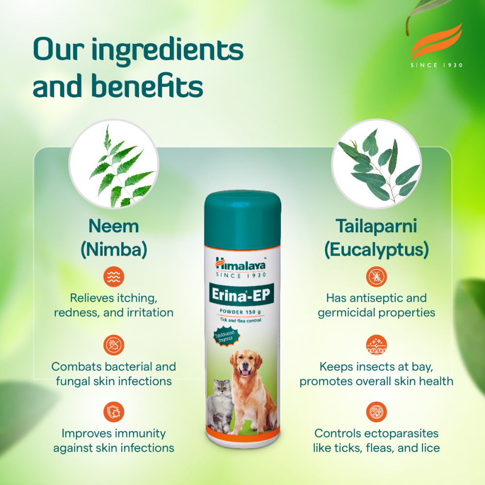 Himalaya Pet Comfort & Care Combo for Dogs & Cats