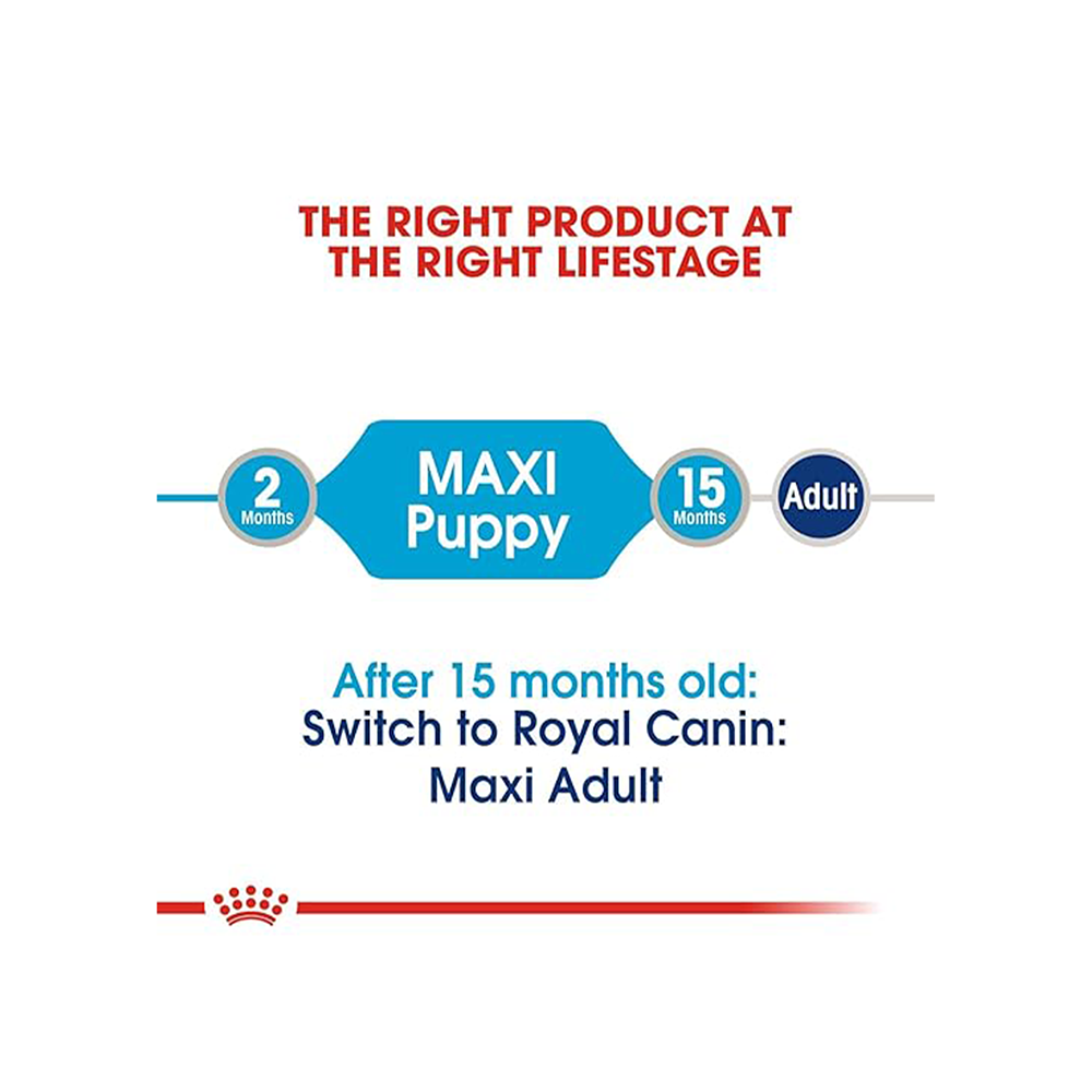 Royal Canin Maxi Puppy Dog Wet Food Dogs-Wet Food Royal Canin