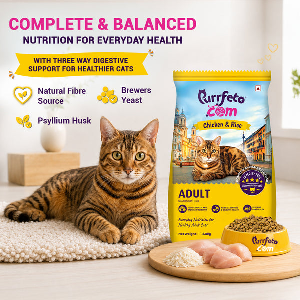 Purrfeto.com Chicken and Rice Adult Cat Dry Food