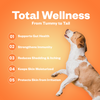 TailsAlive Probiotic Chicken Flavor and Skin & Coat Soft Chews Supplements for Dogs Dogs-Health & Wellness TailsAlive