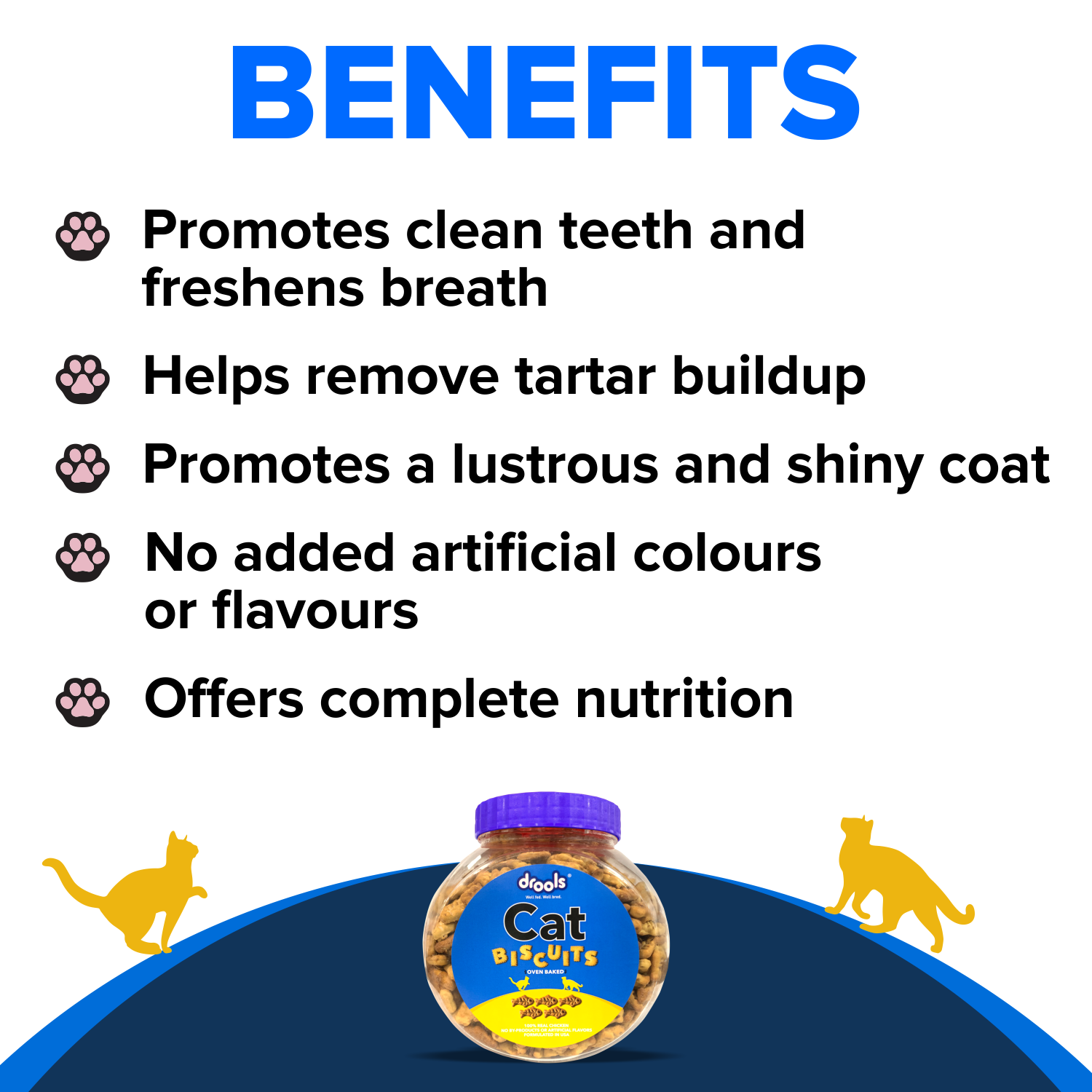 Drools Biscuit Cat Treat (110g) Cats-Treats & Others Drools