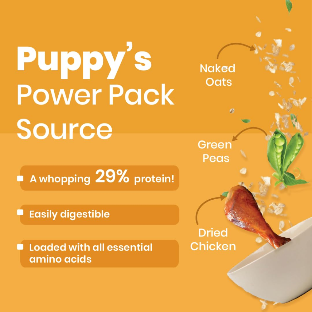 Bark Out Loud Chicken & Ancient Grains Puppy Dry Food