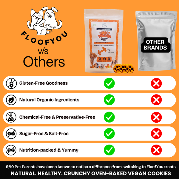 FloofYou Oven Baked Carrot Pumpkin Small Animal Treats