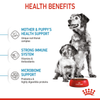Royal Canin Medium Starter Dry Food for Medium Breed Dog and Puppies Dogs- Dry Food Royal Canin