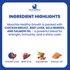 Moochie Healthy Growth Casserole with Chicken Gravy Puppy Dog Wet Food Dogs-Wet Food Moochie