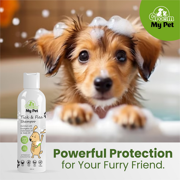 Groom My Pet Tick and Flea Shampoo for Dogs