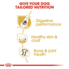 Royal Canin German Shepherd Adult Dog Dry Food Dogs- Dry Food Royal Canin
