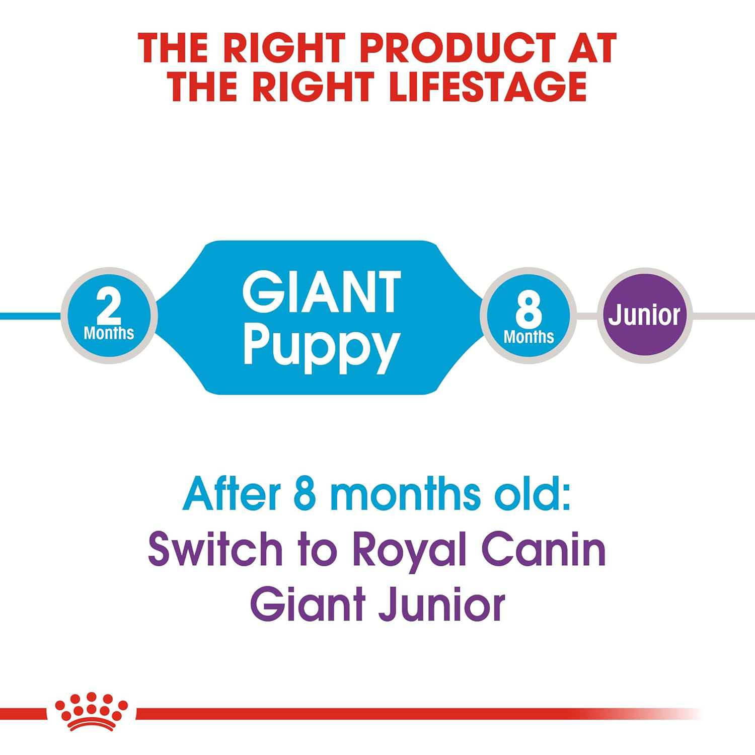 Royal Canin Giant Puppy Dry Dog Food Dogs- Dry Food Royal Canin