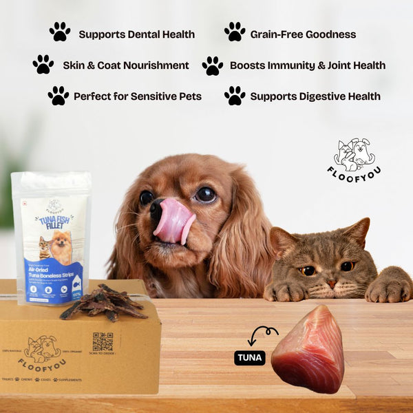 FloofYou Air Dried Tuna Fish Fillet Dogs & Cats Treat