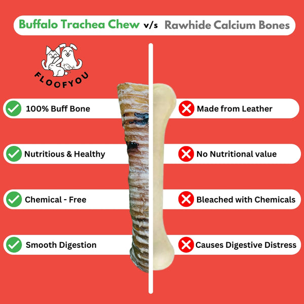 Floofyou Air Dried Buffalo Trachea Boneless Dental Chew Dog Treats