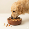 Doggos Chicken and Pumpkin Real Fresh Dog Wet Food (150g) Dogs-Fresh Food Doggos
