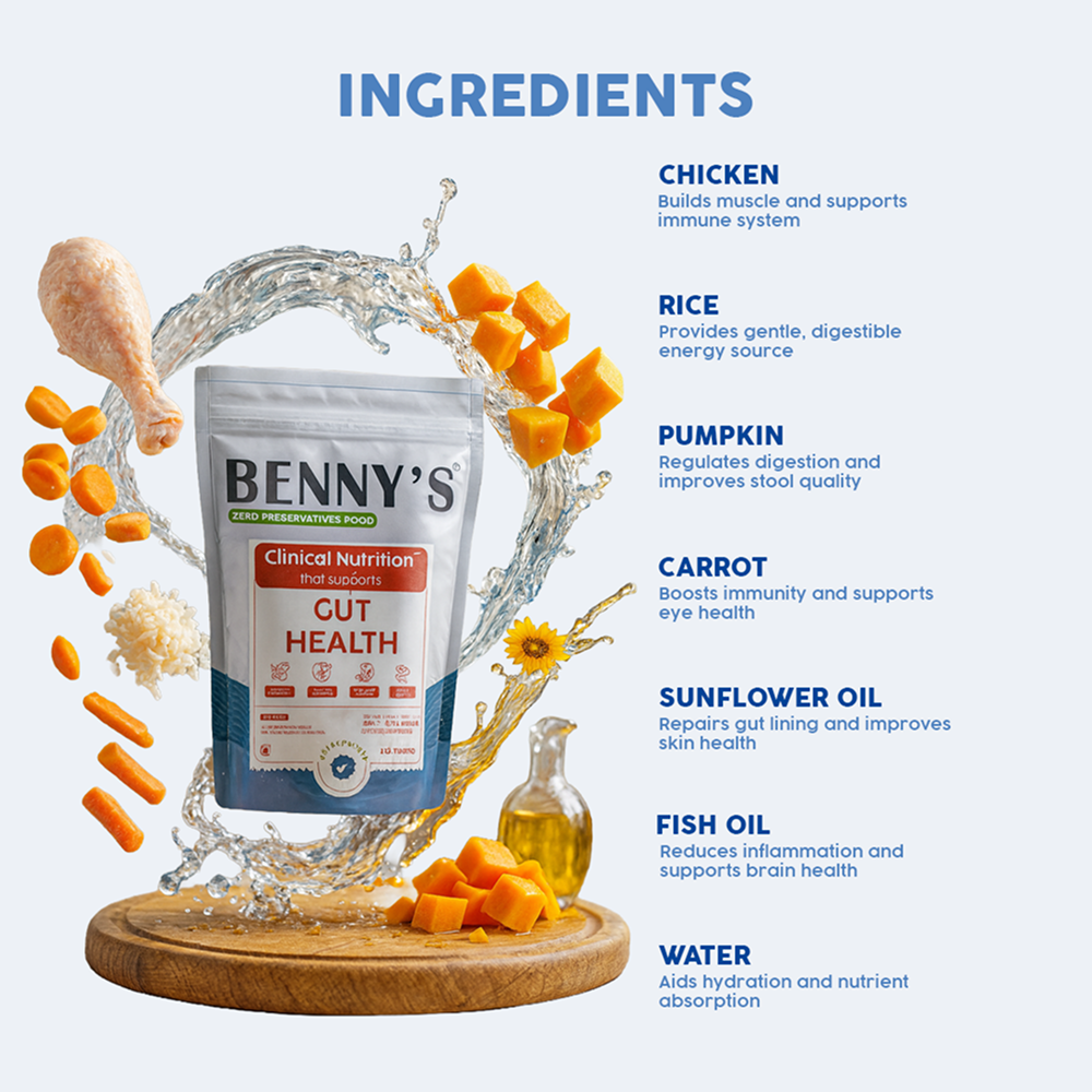 Benny's Bowl Clinical Nutrition for Gastrointestinal Issues Dog Wet Food Dogs-Fresh Food Bennys Bowl
