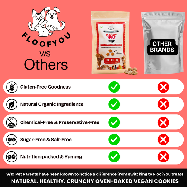FloofYou Oven Baked Classic Apple Small Animal Treats