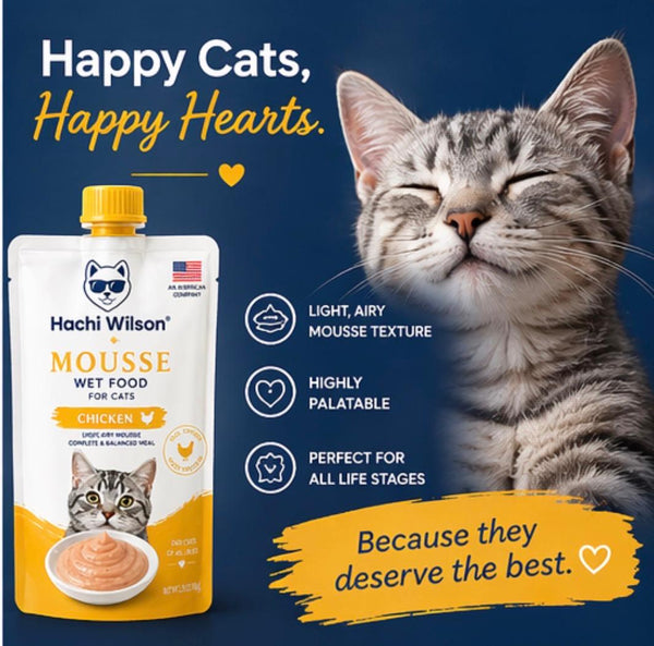 Hachi Wilson Chicken Mousse Wet Food for Cats & Kittens